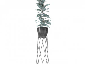 plant in pot flowerpot exotic plant 3D Model
