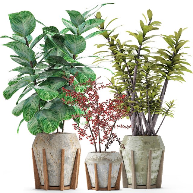 plant in pot flowerpot exotic plant 3D 模型 .c4d .max .obj .3ds .fbx .stl .blend 