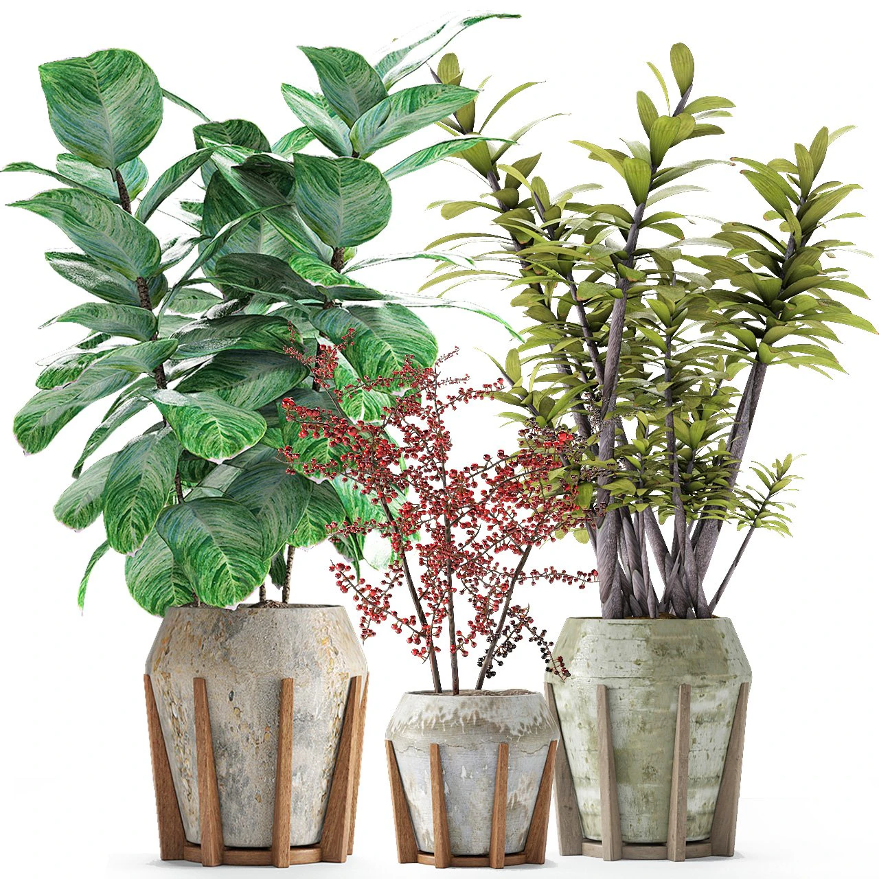 plant in pot flowerpot exotic plant 3D Model .c4d .max .obj .3ds .fbx .stl .blend 