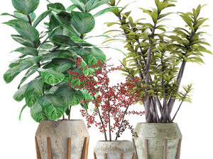 plant in pot flowerpot exotic plant 3D Model