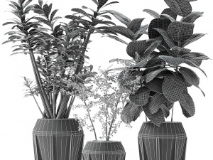 plant in pot flowerpot exotic plant 3D 模型