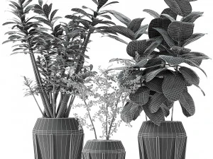 plant in pot flowerpot exotic plant 3D Model