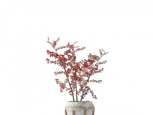 plant in pot flowerpot exotic plant 3D Model