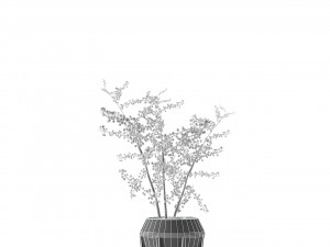 plant in pot flowerpot exotic plant 3D 模型