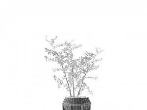 plant in pot flowerpot exotic plant 3D Model