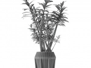 plant in pot flowerpot exotic plant 3D 模型