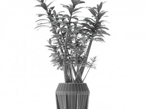 plant in pot flowerpot exotic plant 3D Model