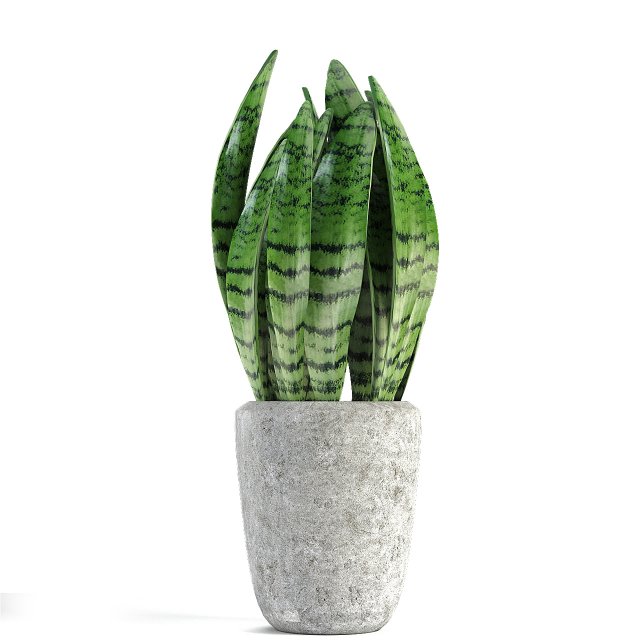 plant in pot flowerpot exotic plant Model 3D .c4d .max .obj .3ds .fbx .stl .blend 