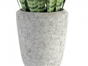 plant in pot flowerpot exotic plant Model 3D