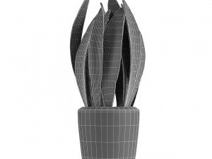 plant in pot flowerpot exotic plant Model 3D