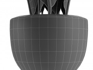 plant in pot flowerpot exotic plant Modelo 3D