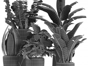 plant in pot flowerpot exotic plant 3D Model