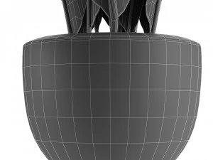 plant in pot flowerpot exotic plant 3D Model