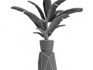 plant in pot flowerpot exotic plant 3D Model