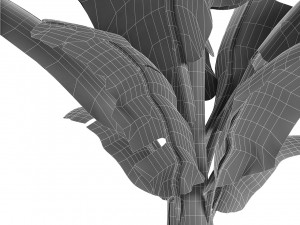 plant in pot flowerpot exotic plant 3D Model