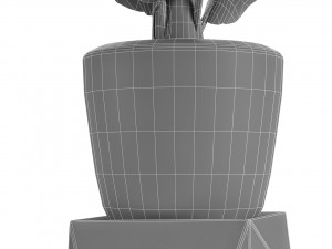 plant in pot flowerpot exotic plant 3D Model