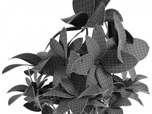 plant in pot flowerpot exotic plant 3D Model