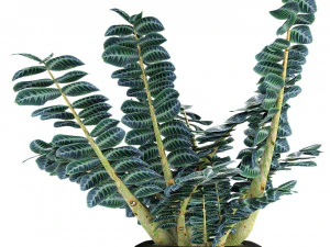 plant in pot flowerpot exotic plant 3D Model