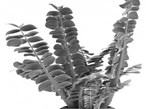 plant in pot flowerpot exotic plant 3D Model