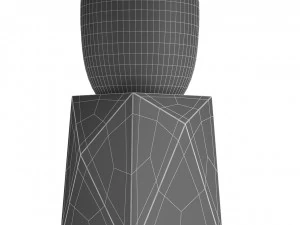 plant in pot flowerpot exotic plant 3D Model