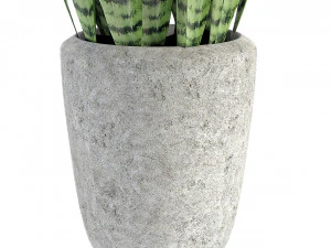plant in pot flowerpot exotic plant 3D Model