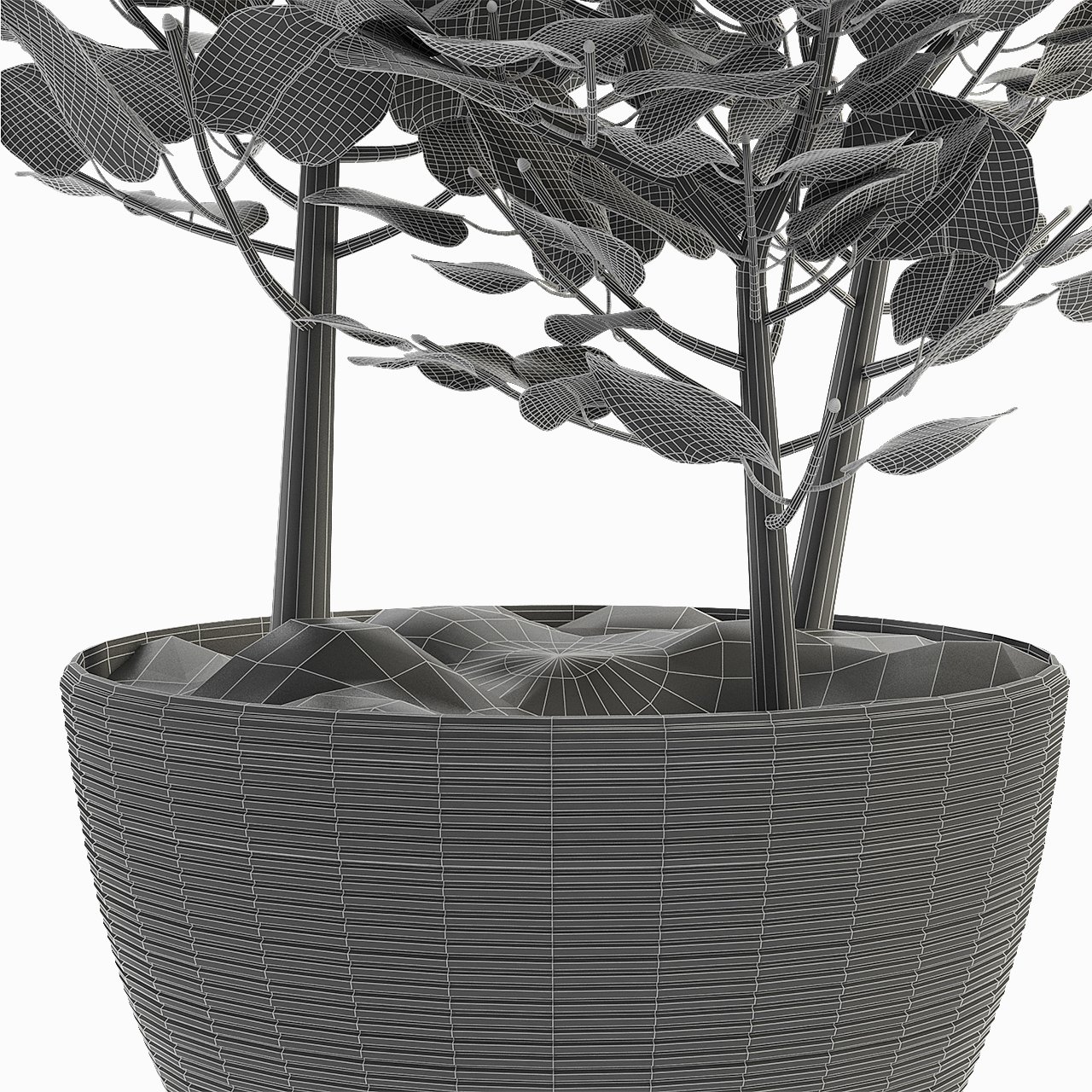 Plant modeling