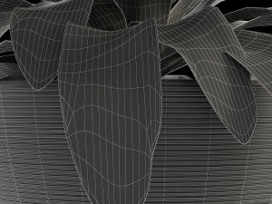 plant in pot flowerpot exotic plant 3D Model