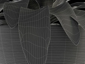 pianta in vaso di fiori pianta esotica Modello 3D