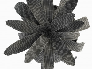 plant in pot flowerpot exotic plant 3D Model