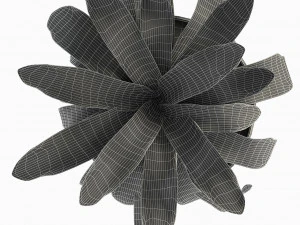 pianta in vaso di fiori pianta esotica Modello 3D