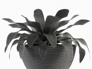 collections plants 04 3D Model