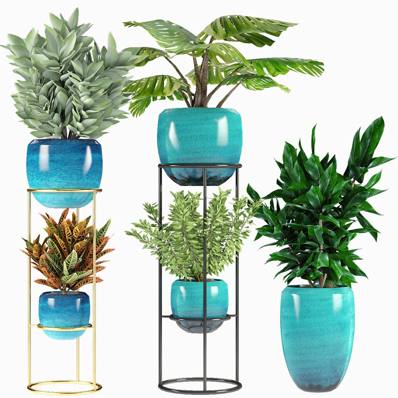 collections plants 07 3D Model .c4d .max .obj .3ds .fbx .stl .blend