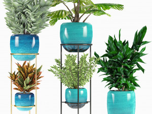 collections plants 07 Modelo 3D