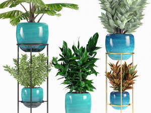 collections plants 07 3Dモデル