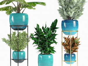 collections plants 07 3D Model