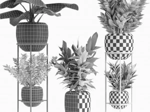collections plants 07 3D Model