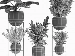 collections plants 07 3D Model