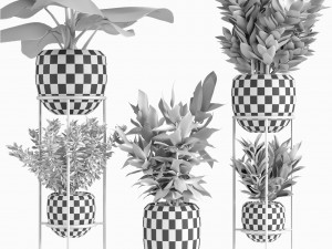 collections plants 07 3Dモデル