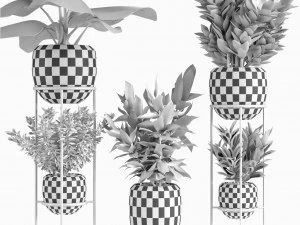 collections plants 07 3D Model