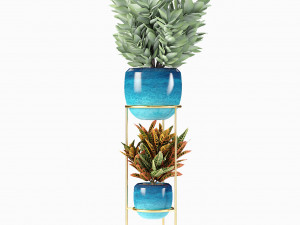 collections plants 07 3Dモデル
