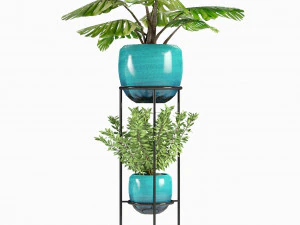 collections plants 07 3D Model