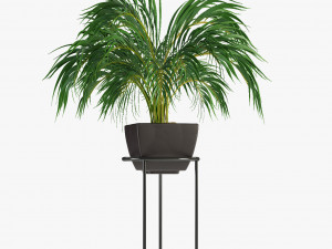 collections plants 08 Modèle 3D