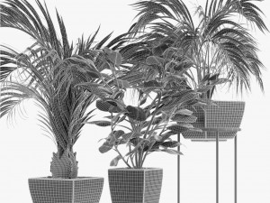 collections plants 08 Modèle 3D