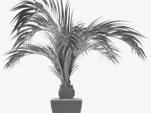 collections plants 08 Modèle 3D