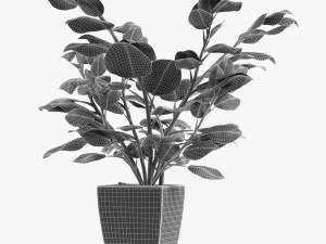 colecciones plantas 08 Modelo 3D