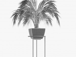 collections plants 08 Modèle 3D