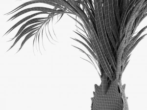 realistic palm garden 3D Model