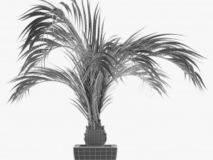 realistic palm garden 3D 模型