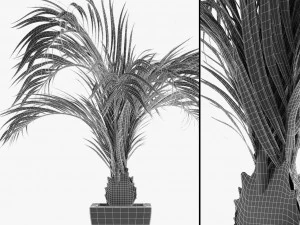 realistic palm garden 3D Model