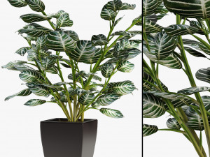 realistic palm garden Modèle 3D